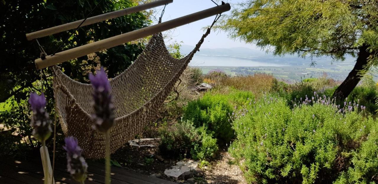 Green Island Ma'ale Gamla Kültér fotó